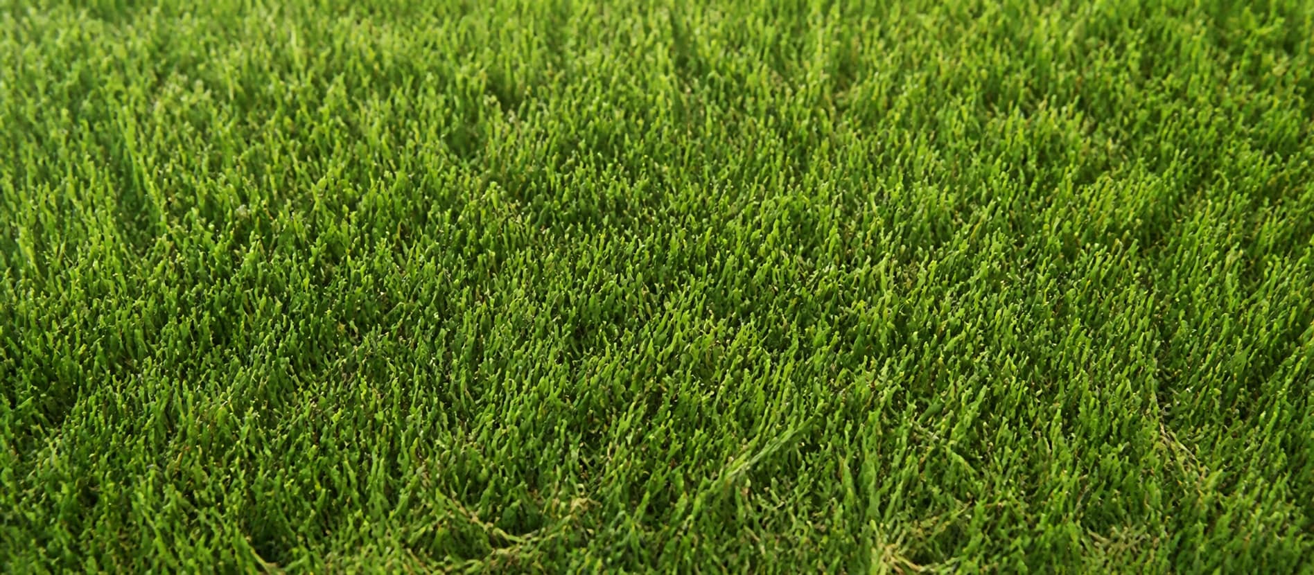 Celtic synthetic turf sample with mixed green fibers viewed close up