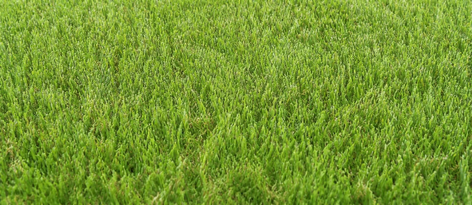 Stanford synthetic turf sample with olive-green fibers and a textured surface