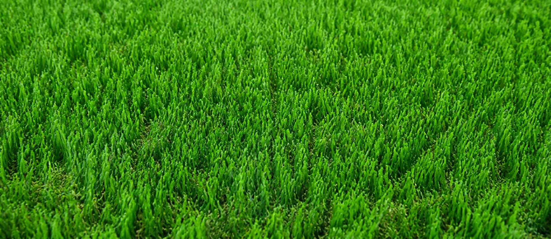 Wembley synthetic turf sample showing dense bright green blades